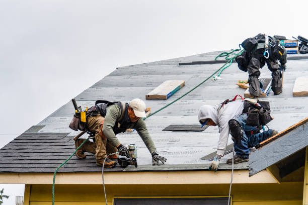 Professional Gutter Installation technician working in Cerro Gordo, NC